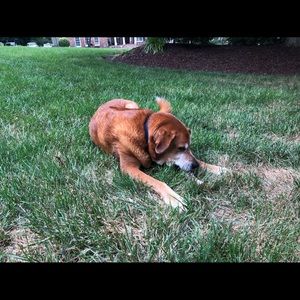 Meet your Posher, Marie